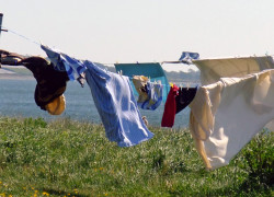 Allonby Washing Line Allonby Washing Line