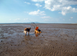 Allonby Lawnmower Allonby Lawnmower