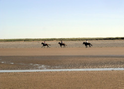 Horse Riding Allonby Beach Horse Riding Allonby Beach
