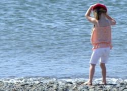 Little Girl Paddling Allonby Little Girl Paddling Allonby