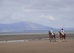 Horse Riding at Allonby Horse Riding at Allonby