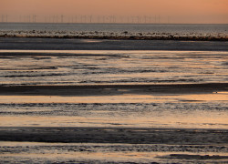 Robinrigg from Allonby Robinrigg from Allonby