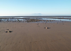 Towards Criffel The sands at Allonby