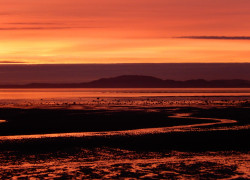 Red Sunset Red Sunset